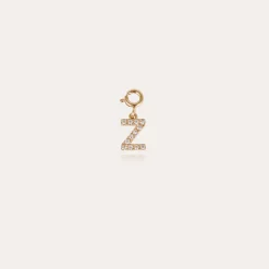 Charms pendentif lettre Z strass